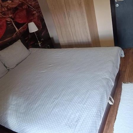 Apartment Vila Sandra Zlatibor Extérieur photo